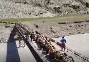 تکمیل پل کول دزفول به عنوان بزرگترین طرح عشایری کشور