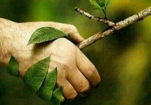 حفاظت از محیط‌زیست با عمل حفظ می‌شود ، نه شعار