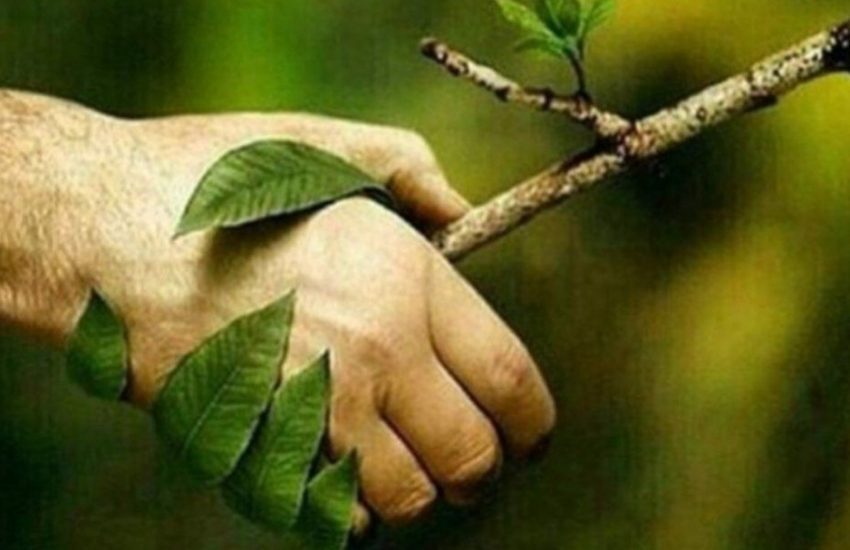 حفاظت از محیط‌زیست با عمل حفظ می‌شود ، نه شعار