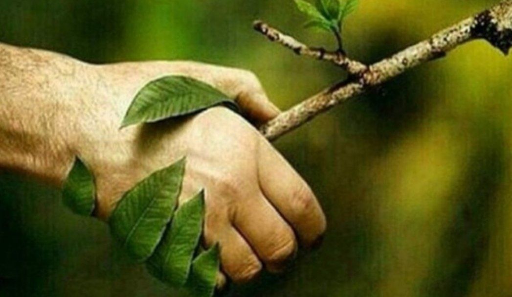 حفاظت از محیط‌زیست با عمل حفظ می‌شود ، نه شعار