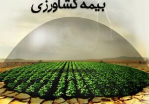 اطلاعیه تمدید مهلت بیمه محصولات تابستانه؛ فرصتی برای کاهش ریسک تولید در دزفول